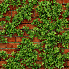 An image depicts a brick wall with green leaves climbing and spreading across the red brick surface. The leaves create a natural pattern.