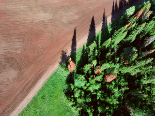 Aerial view landscape with plowed fields and forest on spring sunny day