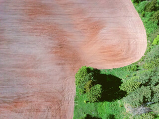 Aerial view landscape with green fields and forest on spring sunny day