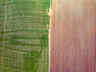 Aerial top view landscape with green field and plowed  on spring sunny day