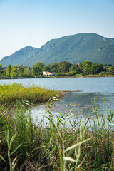 Vertical View of Lake, Reeds and Mountain Landscape in Corfu, Greece