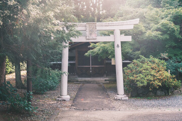 乙訓寺、大きな鳥居、京都、日本