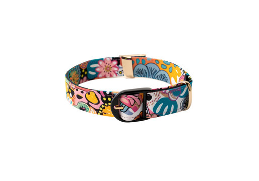 cute dog collar with name tag, colorful pattern, centered produc