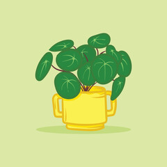 Houseplants in unique pots or vases illustration