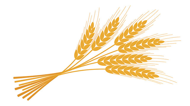 Golden wheat stalks, a symbol of harvest and nourishment.
