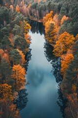 Serene aerial view of a winding river surrounded by vibrant autumn foliage in a tranquil forest setting.