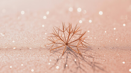 Delicate dried flower, soft pink background, glittering light.
