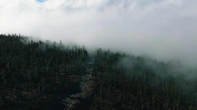 Curved mountain road disappearing into cloud-covered pine forest on Tenerife, aerial shot showing climate contrast near Teide National Park