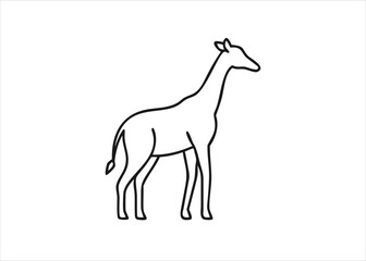 Elegant giraffe line art silhouette illustration showcasing a graceful animal in a minimalist black and white design isolated on white background