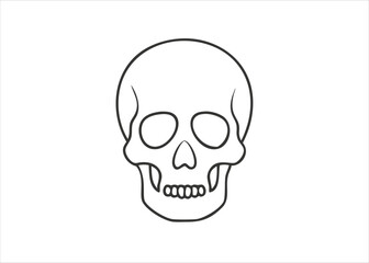 A detailed graphic representation of a human skull presented as a stark black icon with clean lines isolated on white background