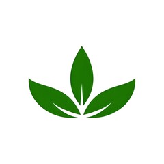 green leaves vector