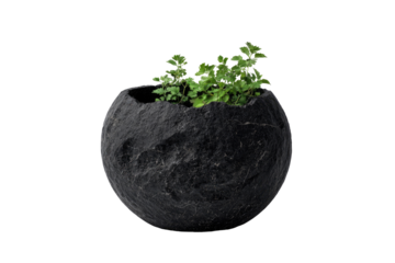 Dark sphere-shaped planter, textured like a rock, holds small green plant