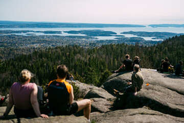 Breathtaking Viewpoint Gathering Overlooking Serene Fjord Landscape with Relaxed Hikers