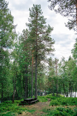 Obraz premium Tranquil Forest Scene with Wooden Picnic Table Amidst Tall Lush Trees by Serene Lakeside Under Cloudy Sky