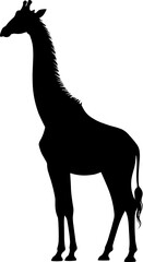 Fototapeta premium Giraffe Silhouette Vector Illustration