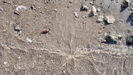 Natural Pebble Shore – Doğal Çakıllı Kıyı