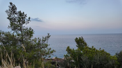 Ocean View &ndash; Okyanus Manzarası