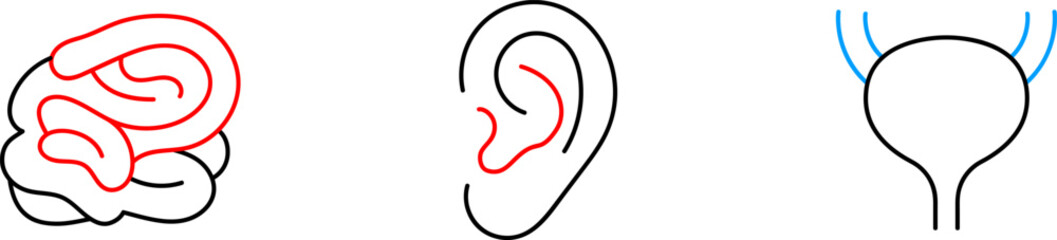 Medical organs line icon set. Vector pictograms of body parts, anatomy, kidney, pancreas, intestine, thyroid, bladder, pelvis, skeleton, joint, tongue, hand, nose, mouth, thin linear illustration