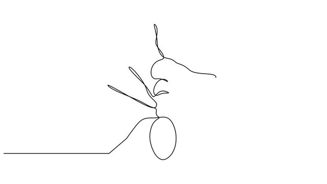 Drawing animation of Ants continuous one line drawing vector outline. Full lenght animation