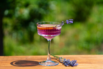 Bright cocktail or lemonade served in elegant crystal glass on wooden table against of a green summer garden. Purple color drink with lavender herb flowers and slice of lemon, closeup