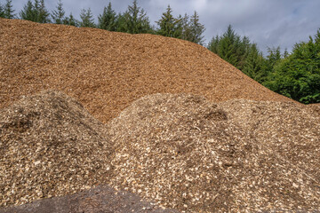 Huge mulch pile from spruce trees, with blue sky and white clouds, Denmark, July 2025