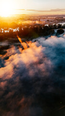 Bright golden sunrise welcomes a promising new day.