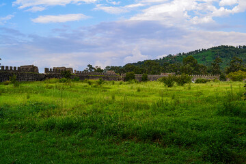 Fototapeta premium landscape with green grass and blue sky