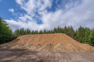 Huge mulch pile from spruce trees, with blue sky and white clouds, Denmark, July 2025