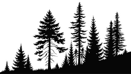 Silhouette of Evergreen Trees on a Hillside Forest Landscape.