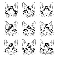 Fototapeta premium Collection of detailed black and white line art drawings of bengal cat faces showing expressive eyes and distinctive markings isolated on transparent background silhouette