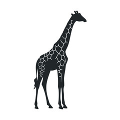 Naklejka premium Silhouette of giraffe with distinctive patterns on white background