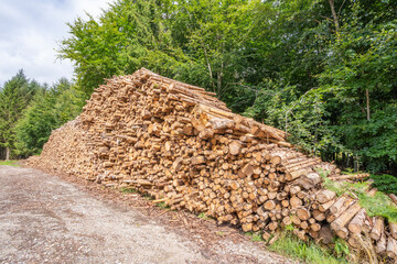 Huge mulch pile from spruce trees, with blue sky and white clouds, Denmark, July 2025