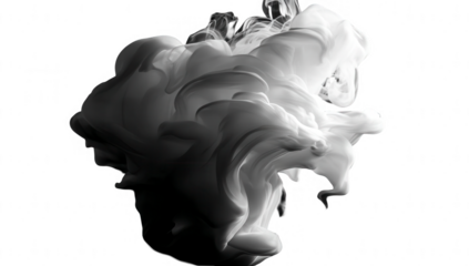 Abstract monochrome ink splash