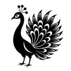 peacock, feather, bird, animal, blue, nature, peacock feather, colourful, colours, horizontal, pride, cut out, male, tail, no people,Central Panel vector clean black silhouette design white background