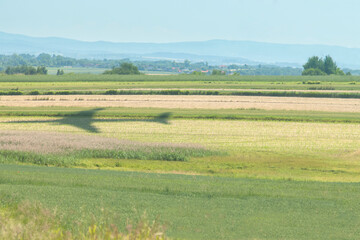 Poland, Krakow, Balice Airport, Shadow af a Landing Aircraft