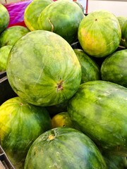 Fresh from the farm: a display of watermelons, their green skins hinting at juicy sweetness.