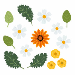 An arrangement of flat vector illustrations featuring spinach leaves, kale leaves, white daisy flowers, an orange gazania flower, and small yellow buttercup flowers.