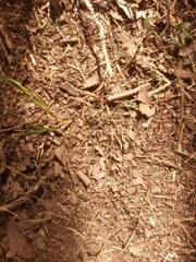 texture of earth