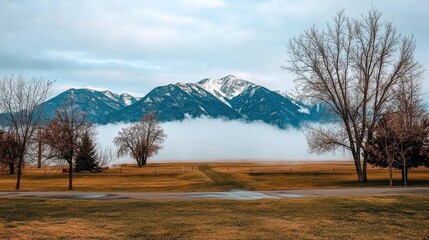 Serene Mountain Landscape with Fog and Bare Trees in Winter Scene