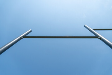 Mustard plants stand tall in lush green rows, flourishing under a bright blue sky during the sunny days of summer, showcasing their vibrant yellow blooms