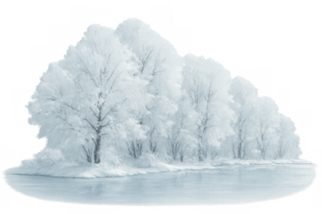 Snow-covered trees reflecting on frozen river