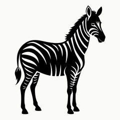 Zebra vector clean black silhouette design white background