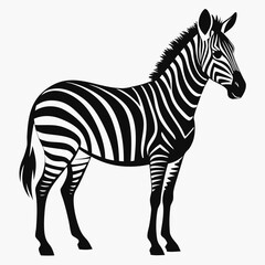 Zebra vector clean black silhouette design white background
