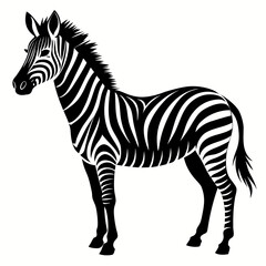 Zebra vector clean black silhouette design white background