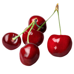 Whole and Halved Red Cherries – Fresh and Ripe Isolated Fruit