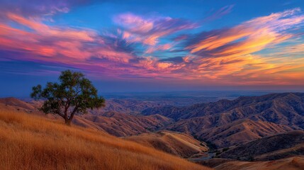 Fototapeta premium A breathtaking vista of a solitary tree atop a hill, overlooking a valley at sunset.
