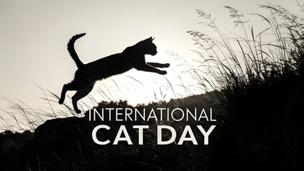 Silhouette of a black cat leaping against a bright sky for international cat day