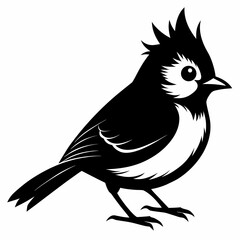 Obraz premium Titmouse vector clean black silhouette design white background 