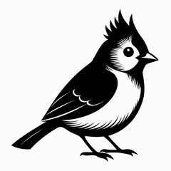 Titmouse vector clean black silhouette design white background 