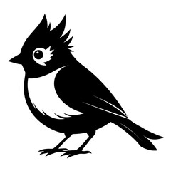 Titmouse vector clean black silhouette design white background 